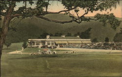 The Casino and Grounds Postcard