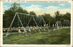 Haldeman Woods Postcard