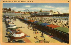 Beach Scene at Steel Pier Postcard