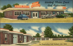 Waldorf Motor Court and Restaurant Postcard