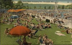 Coney Island Swimming Pool Cincinnati, OH Postcard Postcard
