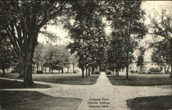 Campus View of Oberlin College Ohio Postcard Postcard