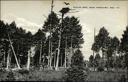 Eagles Nest Postcard