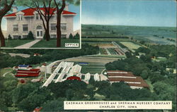 Cashman Greenhouses and Sherman Nursery Company Postcard