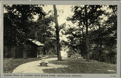 Scene Trail 6, Turkey Run State Park Postcard