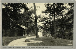 Scene Trail 6, Turkey Run State Park Rockville, IN Postcard Postcard