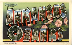 Greetings from Arkansas Ozarks Postcard Postcard