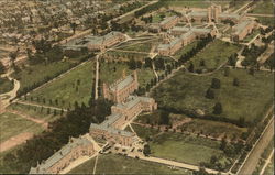 Stock #436470 Thumbnail