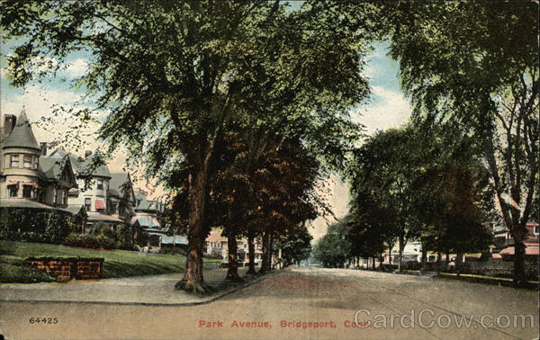 Park Avenue Bridgeport Connecticut