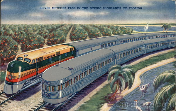 Silver Meteors Pass on the Scenic Highlands of Florida