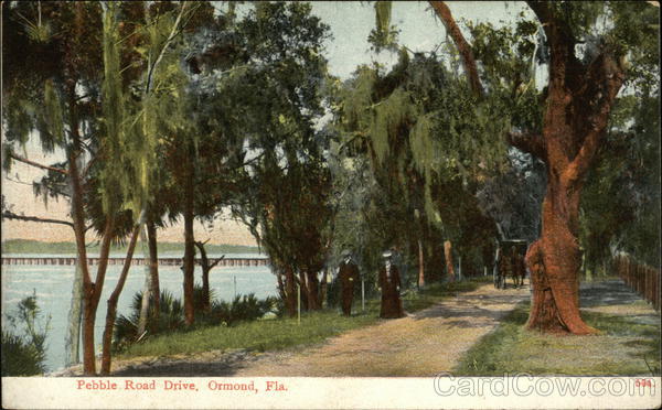 Pebble Road Drive Ormond Florida