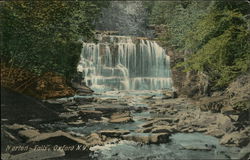 Norton Falls Oxford, NY Postcard Postcard