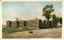 Ruins of Old Custom House Postcard