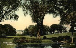 Wilcox Park Westerly, RI Postcard Postcard