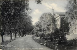 The Drive, State Lunatic Asylum Postcard