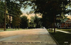 Upper Residential Section, Madison Avenue Albany, NY Postcard Postcard