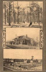 Views of Niagara Postcard