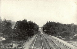 Erie Trestle over Passaic River Arlington, NJ Postcard Postcard