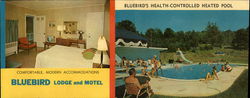 Bluebird Lodge and Motel Bluebird Lodge and Motel