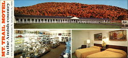 Mt. Trail Motel Large Format Postcard