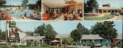 Gamecock Motel Large Format Postcard