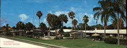 Flamingo Colony Motel Sarasota, FL Large Format Postcard Large Format Postcard