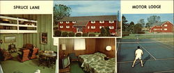 Spruce Lane Motor Lodge Smoketown, PA Large Format Postcard Large Format Postcard