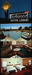 Redwood Motor Lodge Large Format Postcard