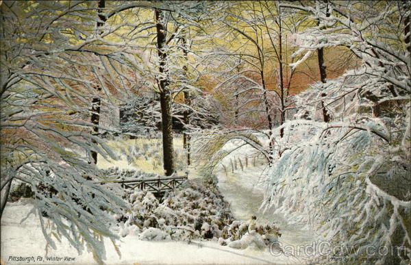Winter View Pittsburgh Pennsylvania