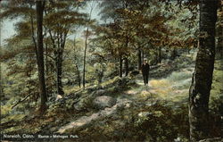 Mohegan Park - Ravine Norwich, CT Postcard Postcard