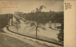 Mt. Royal Avenue from Druid Hill Park Postcard