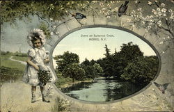 Butternut Creek Morris, NY Postcard Postcard