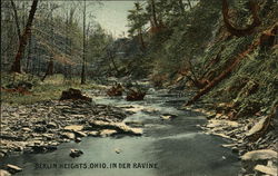 Berlin Heights, Ohio, in Der Ravine Berlin Heights, Ohio, in Der Ravine