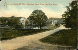 State Fish Hatchery Pond Postcard
