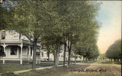 Liberty Street Milford, MI Postcard Postcard