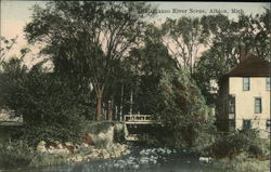 Kalamazoo River Scene Albion, MI Postcard Postcard