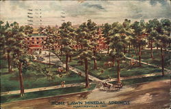 Home Lawn Mineral Springs Postcard