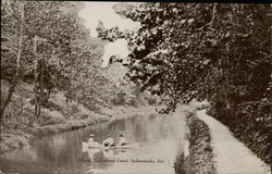Bicycle Path along Canal Postcard