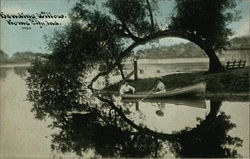 Bending Willows Postcard