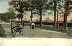West Confederate Avenue, Looking North Gettysburg, PA Postcard Postcard