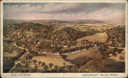 Belvedere Postcard
