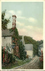 Ash Lane Nantucket, MA Postcard Postcard