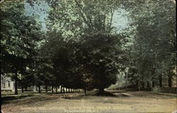 Raymond Avenue, Looking North from Vassar College Postcard