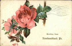 Greeting From Newfoundland, Pa. Postcard
