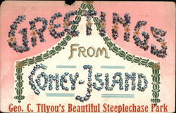Greetings from Coney Island Geo. C. Tilyou's Beautiful Steeplechase Park Postcard