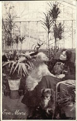 Stock #440574 Thumbnail