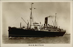 R.M.S. Scythia Steamers Postcard Postcard