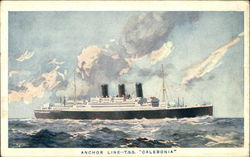Anchor line - T.S.S. "Caledonia" Postcard