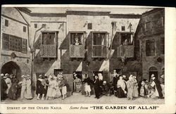 The Garden of Allah The Garden of Allah