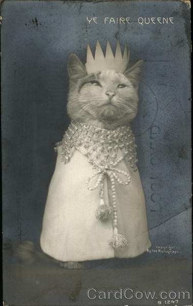 Portrait of Cat in Crown Cats